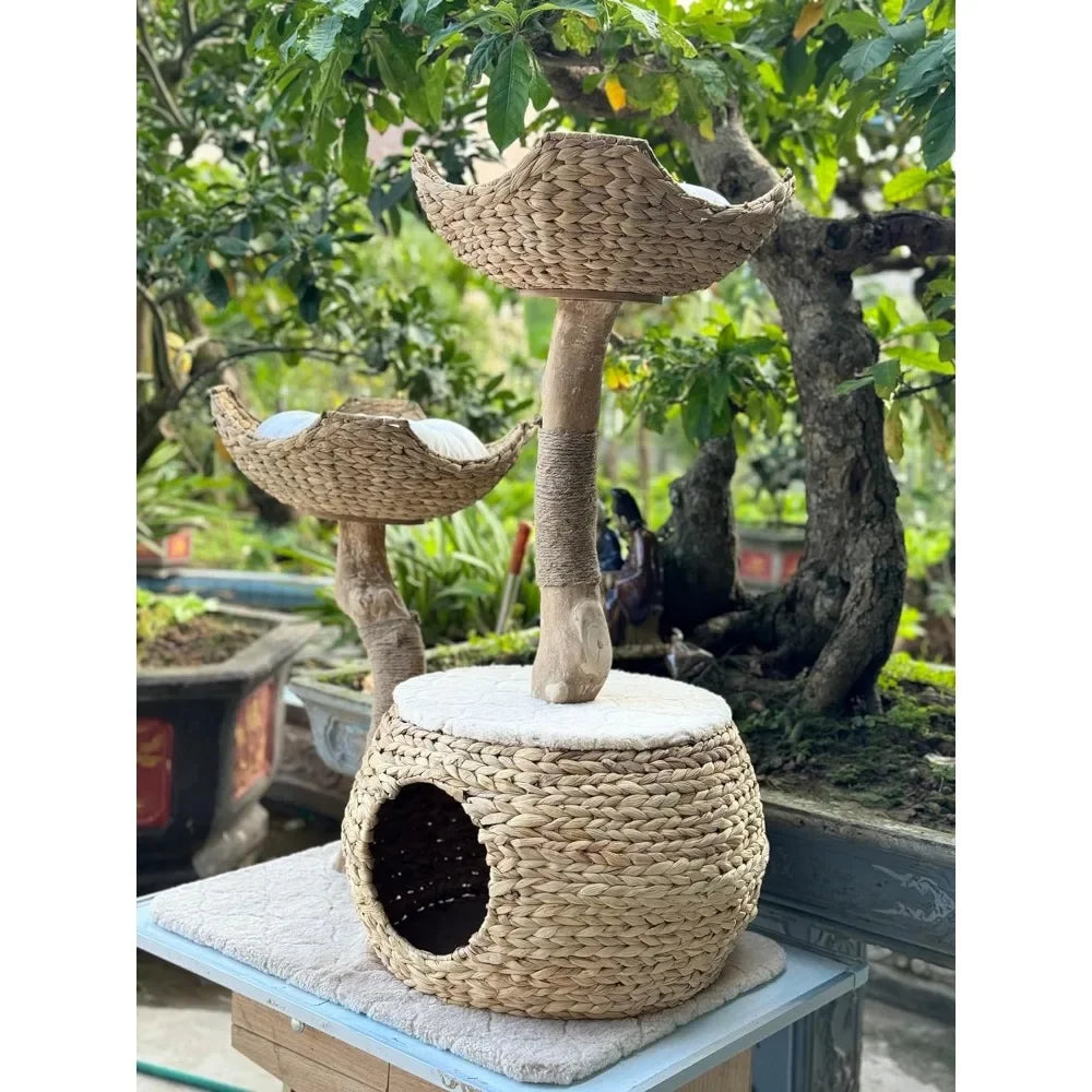 Cat Tree Tower for Large Cats, Cat House with Scratching Tree Made from Coffee Wood and Water Hyacinth Brand